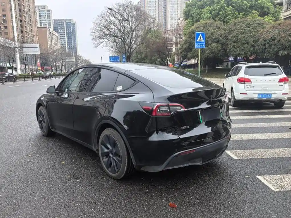 Tesla Model Y — миниатюра 7