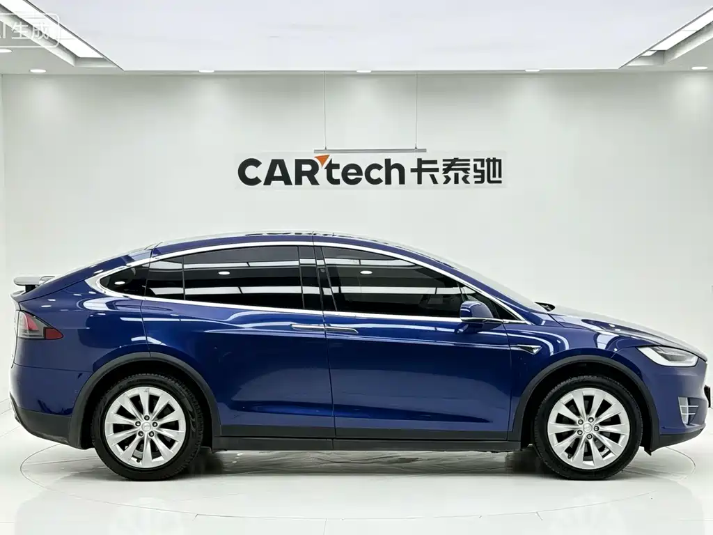 Tesla Model X 2017 Model X 100D