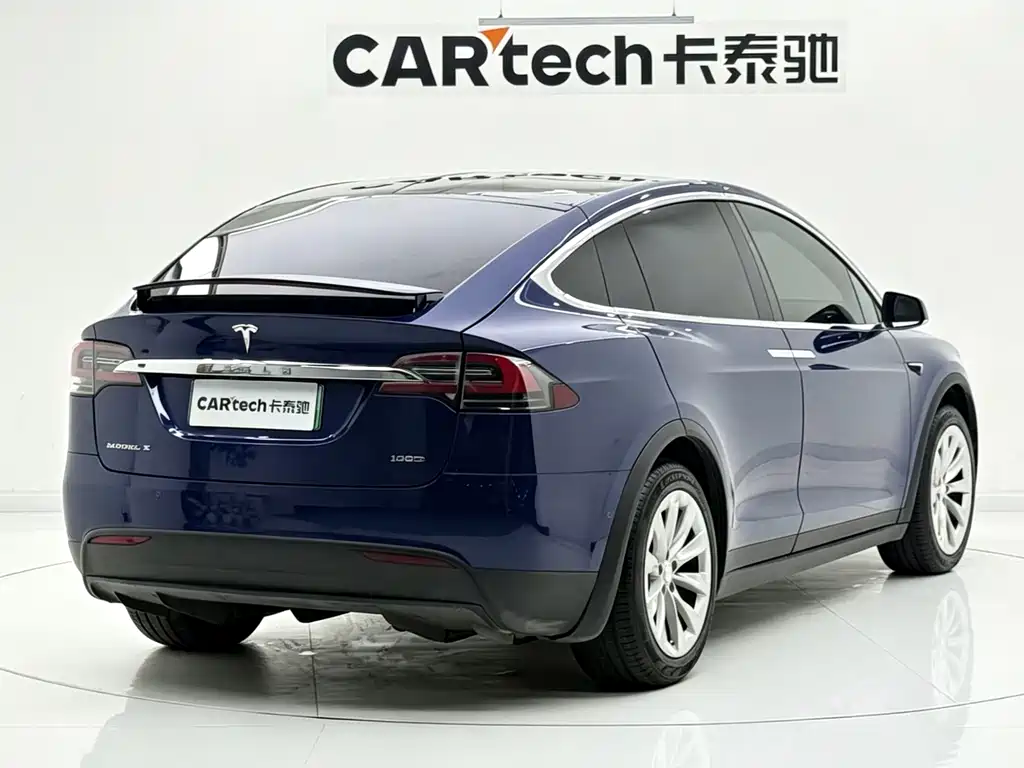 Tesla Model X 2017 Model X 100D