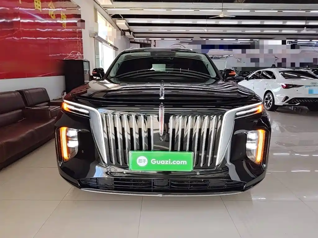 Hongqi Hongqi E-HS9 — миниатюра 3
