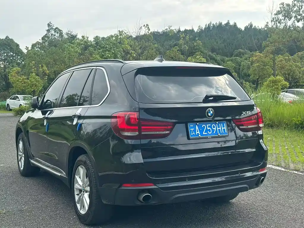 BMW X5 2014 xDrive35i Lead