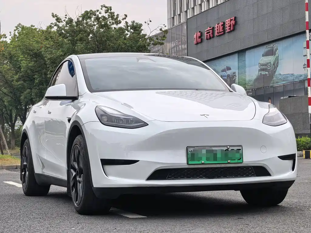 Tesla Model Y — миниатюра 3