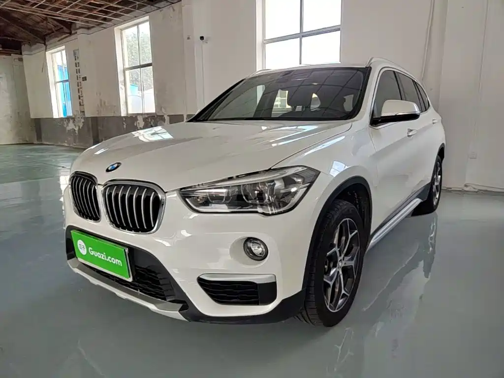 BMW X1 — миниатюра 2