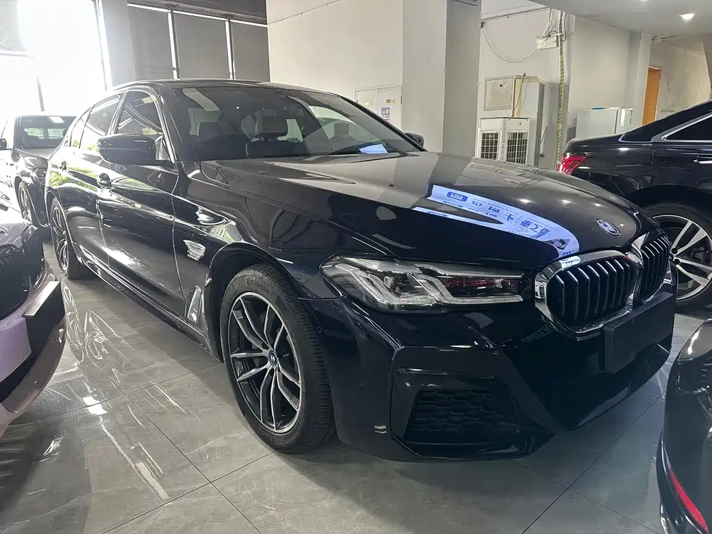 BMW 5 Series New Energy — миниатюра 2