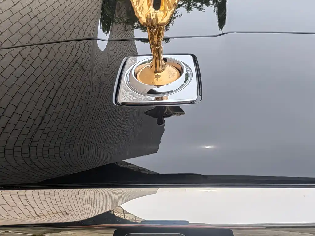 Rolls-Royce Cullinan 2018 мест