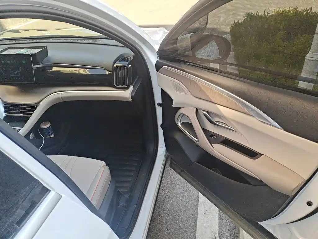 BYD Pro New Energy — миниатюра 20
