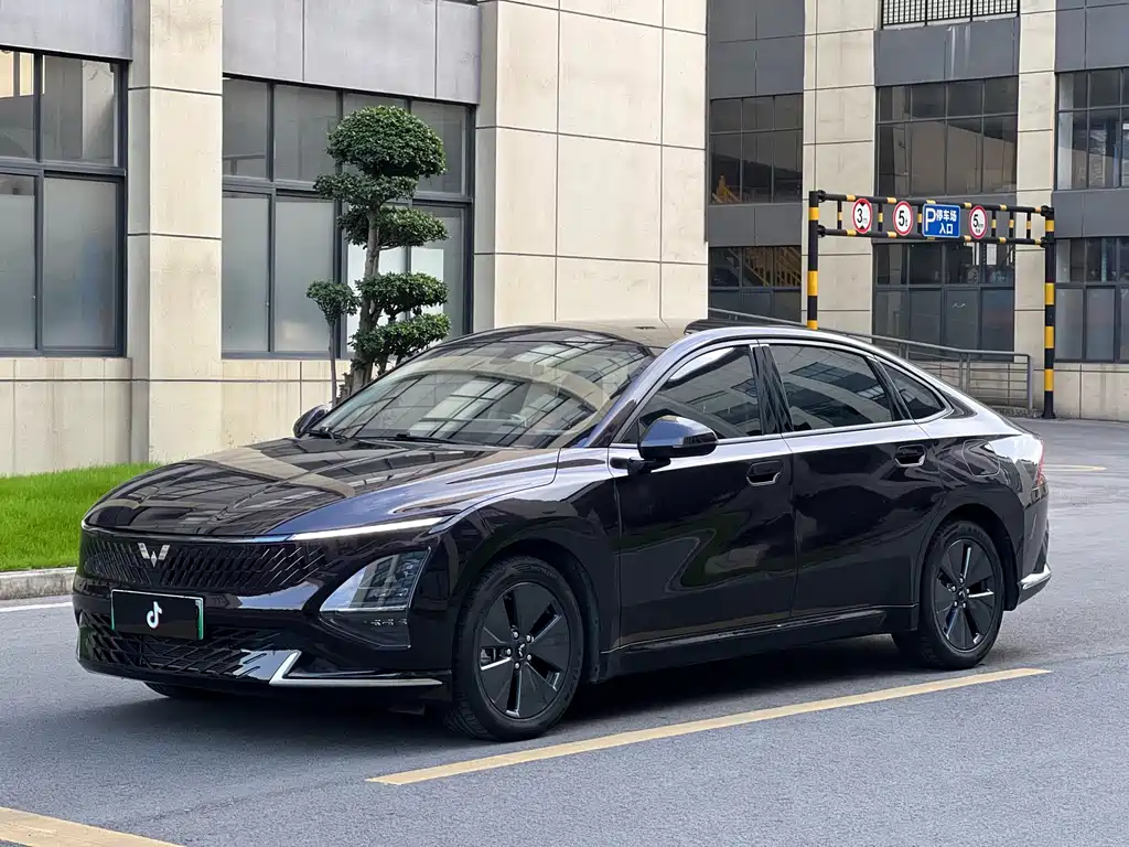 Wuling Xingguang 2024