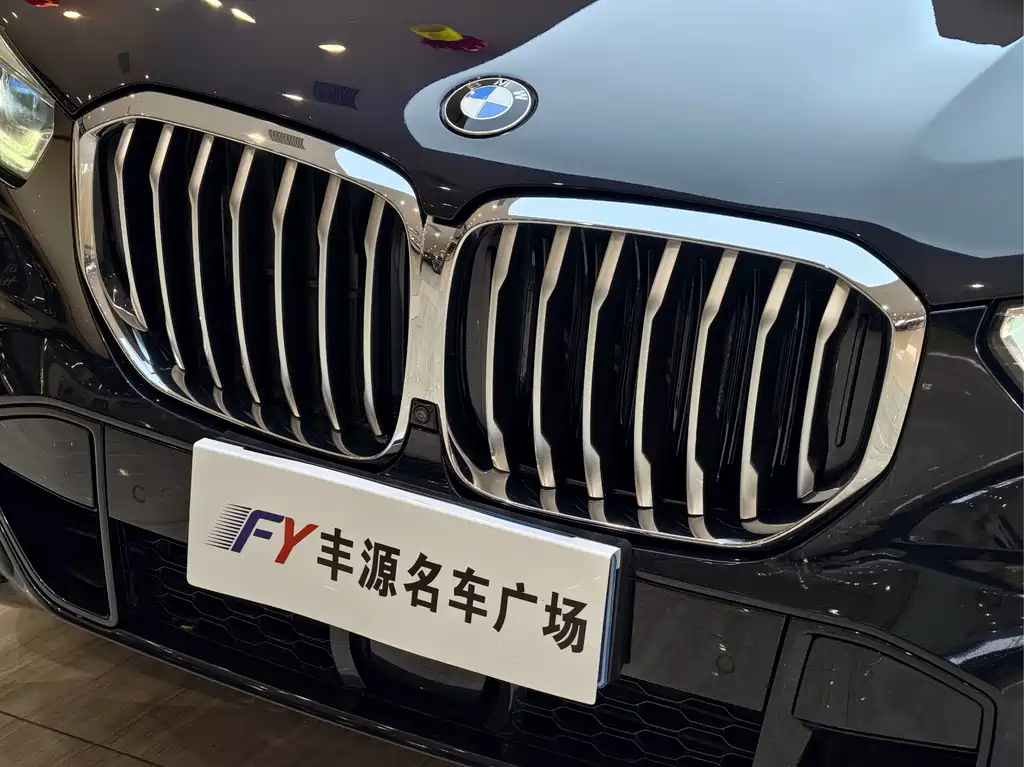 BMW X5 (Import) — миниатюра 24