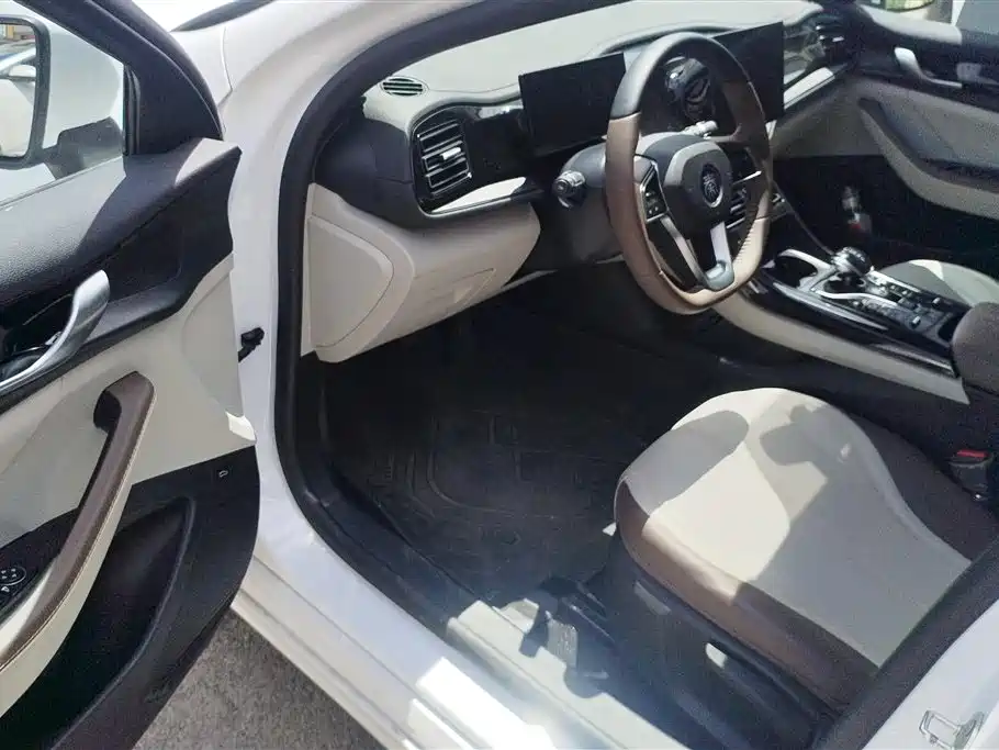 BYD Qin Plus PLUS 2024 DM-i 55KM Lead