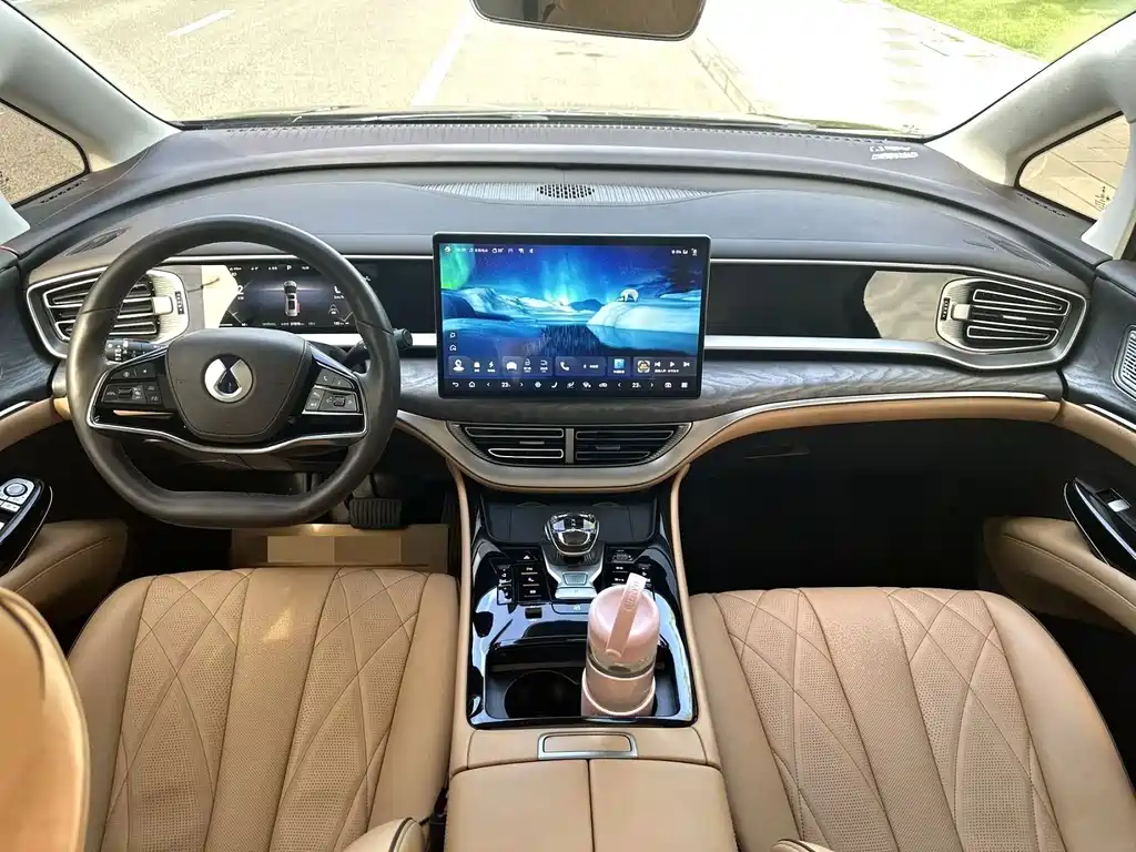Denza Denza D9 — миниатюра 6