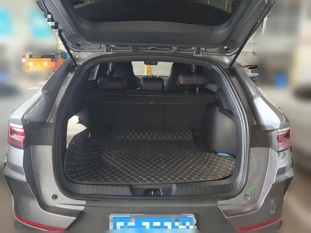 BYD PLUS — миниатюра 24