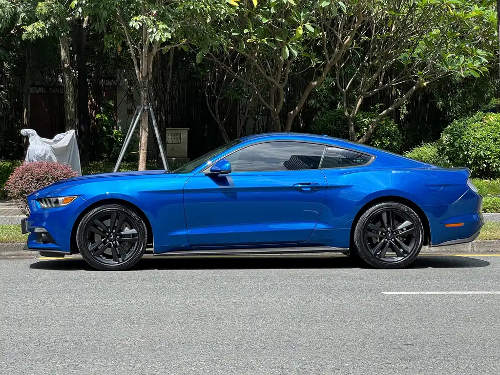 Ford Mustang — миниатюра 4
