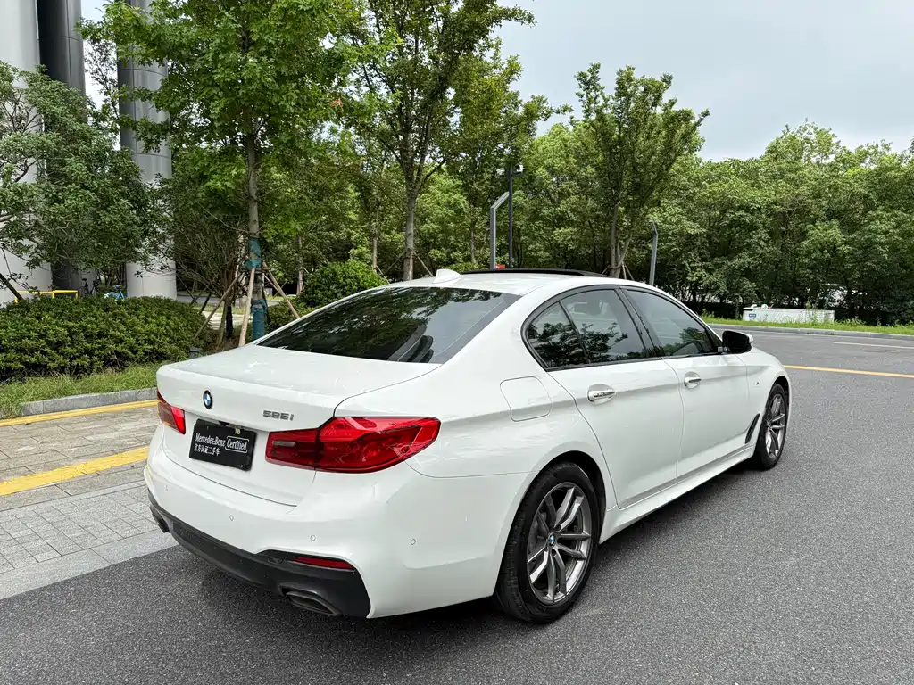 BMW 5 Series (Import) — миниатюра 8