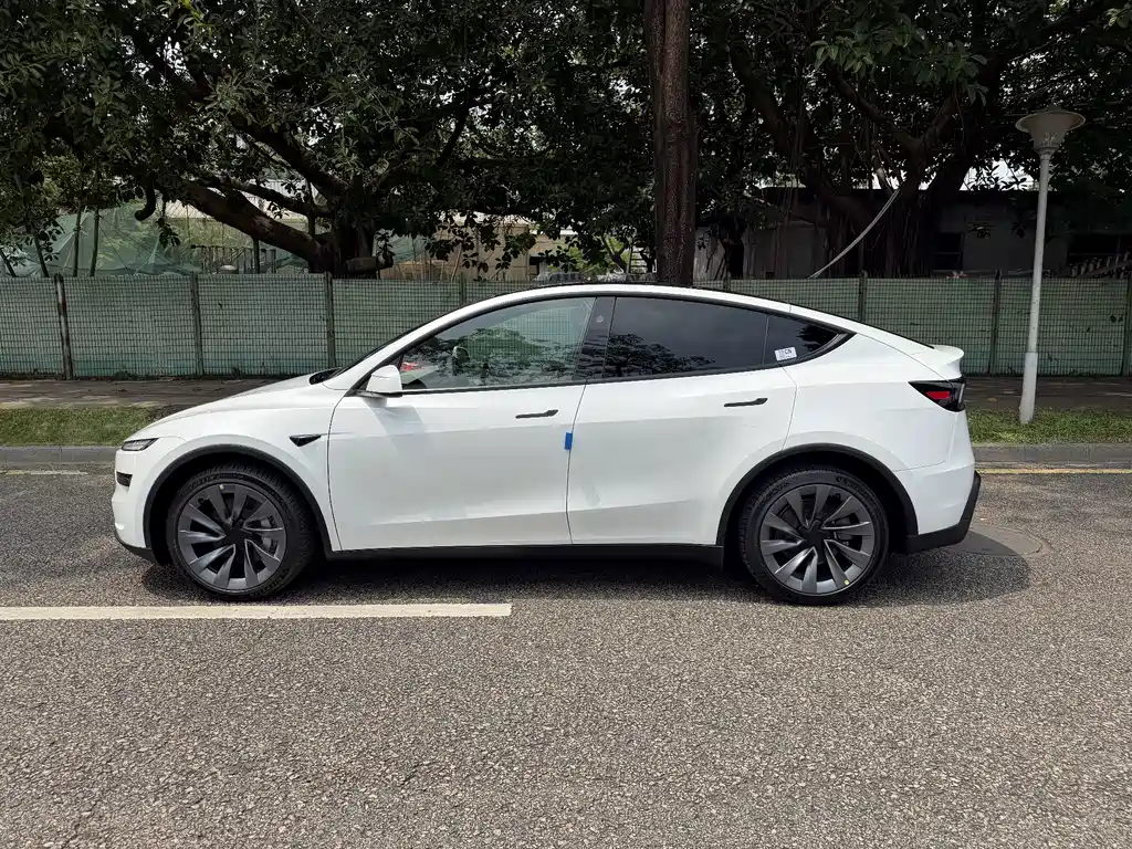 Tesla Model Y — миниатюра 7