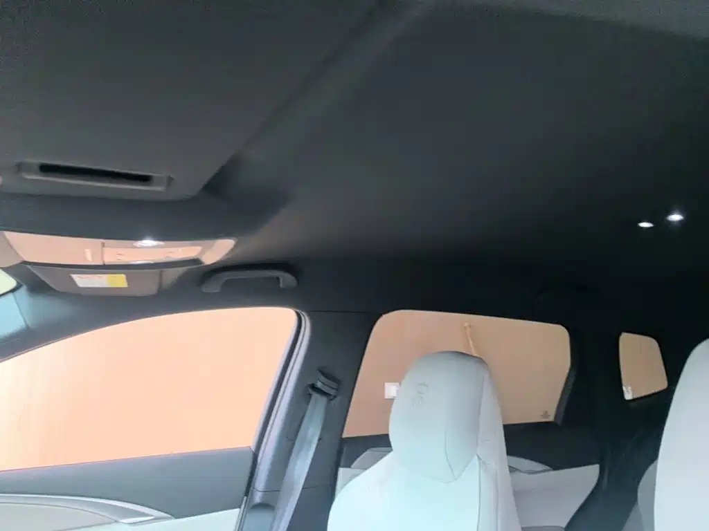 BYD Pro New Energy — миниатюра 18