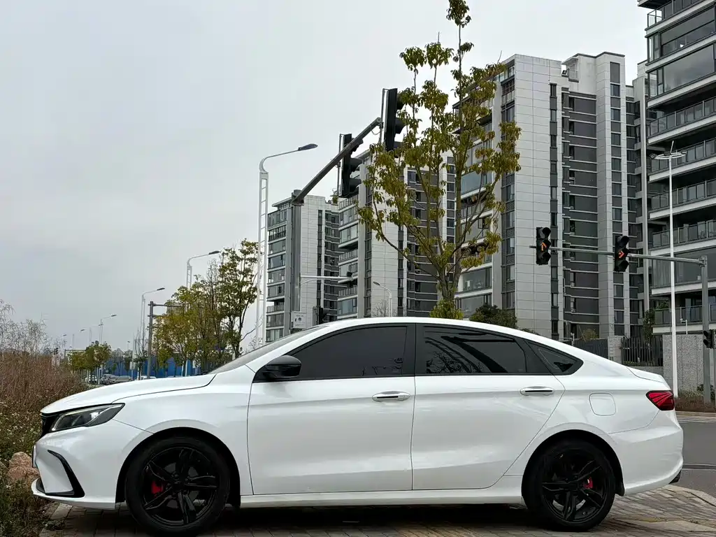 GEELY AUTOMOBILE BINRUI