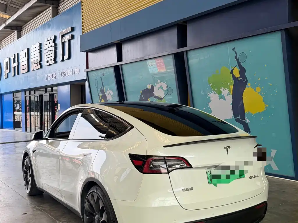 Tesla Model Y — миниатюра 6