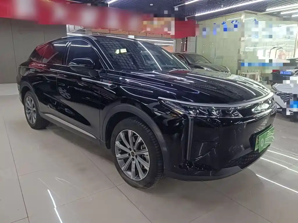 Exeed Yaoguang C-DM — миниатюра 4