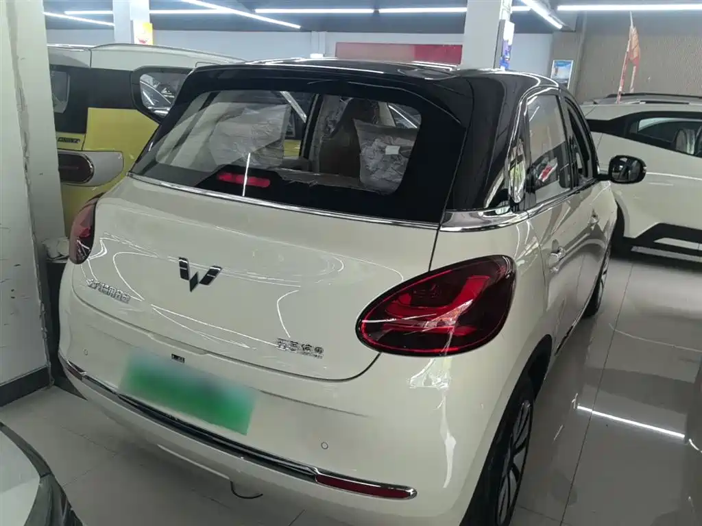 Wuling Binguo 2025 333km Enjoy