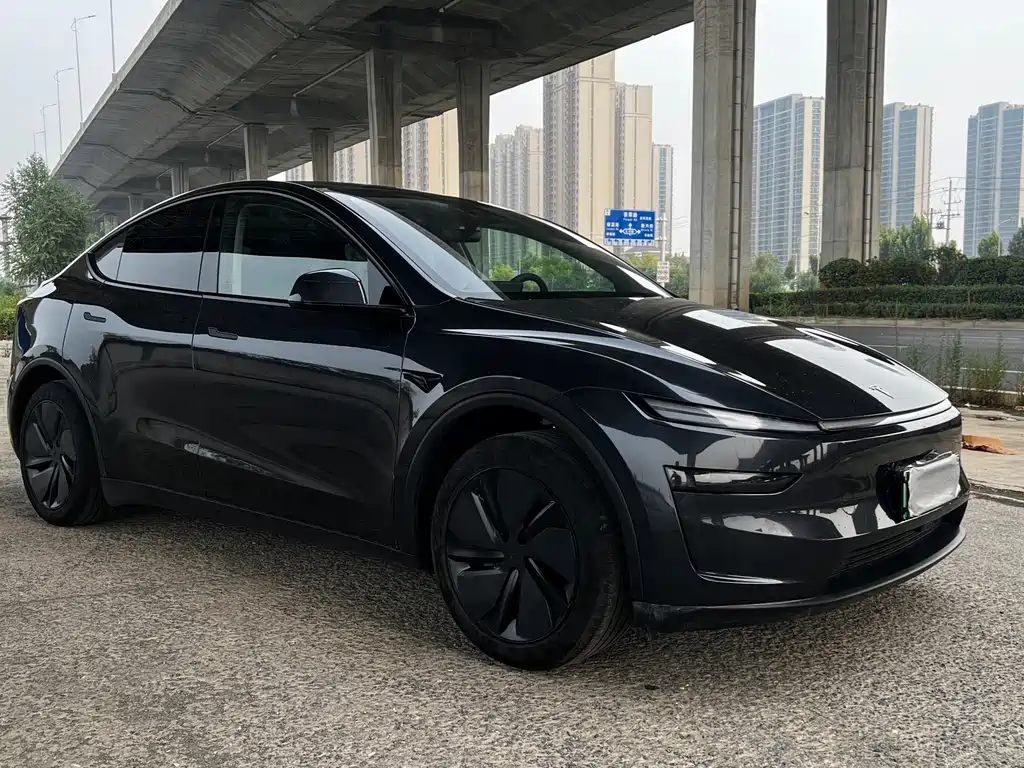 Tesla Model Y — миниатюра 3
