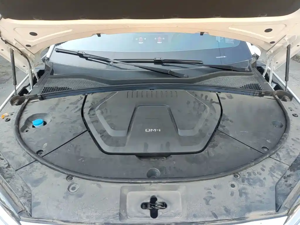 BYD PLUS New Energy — миниатюра 20