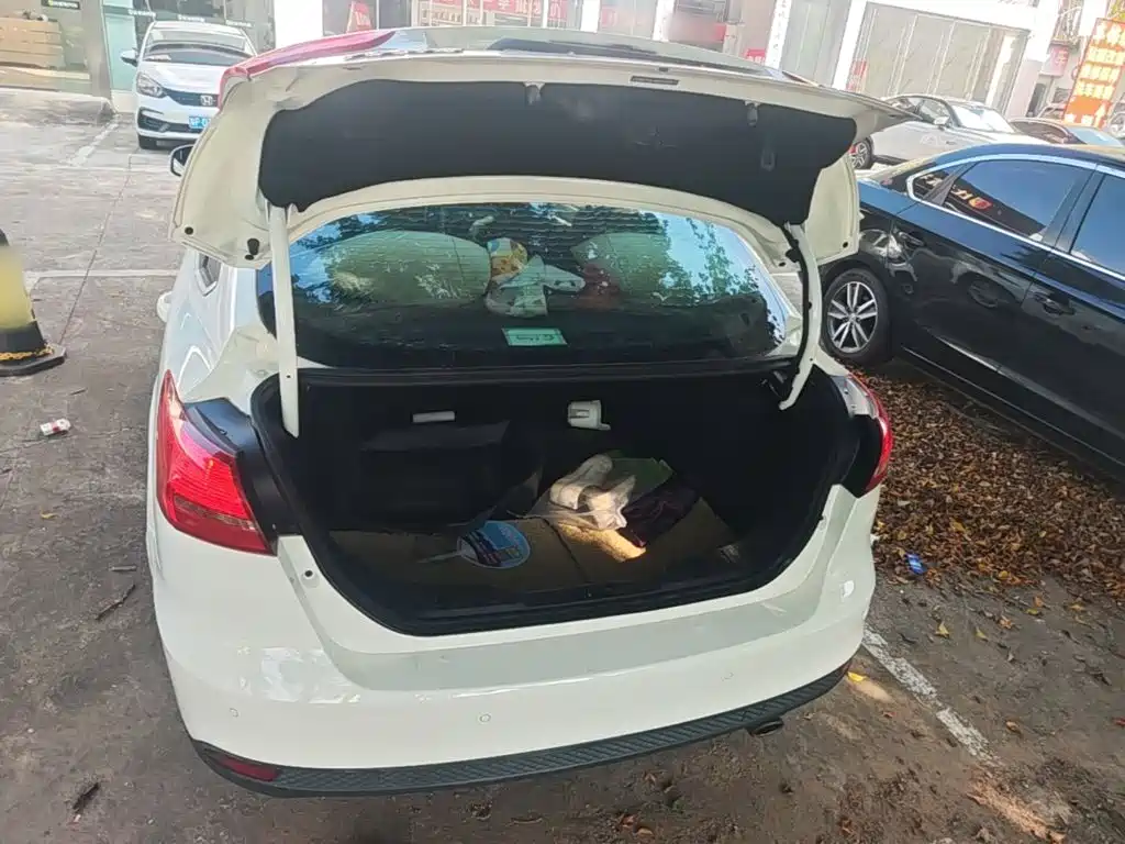 Ford Focus — миниатюра 19