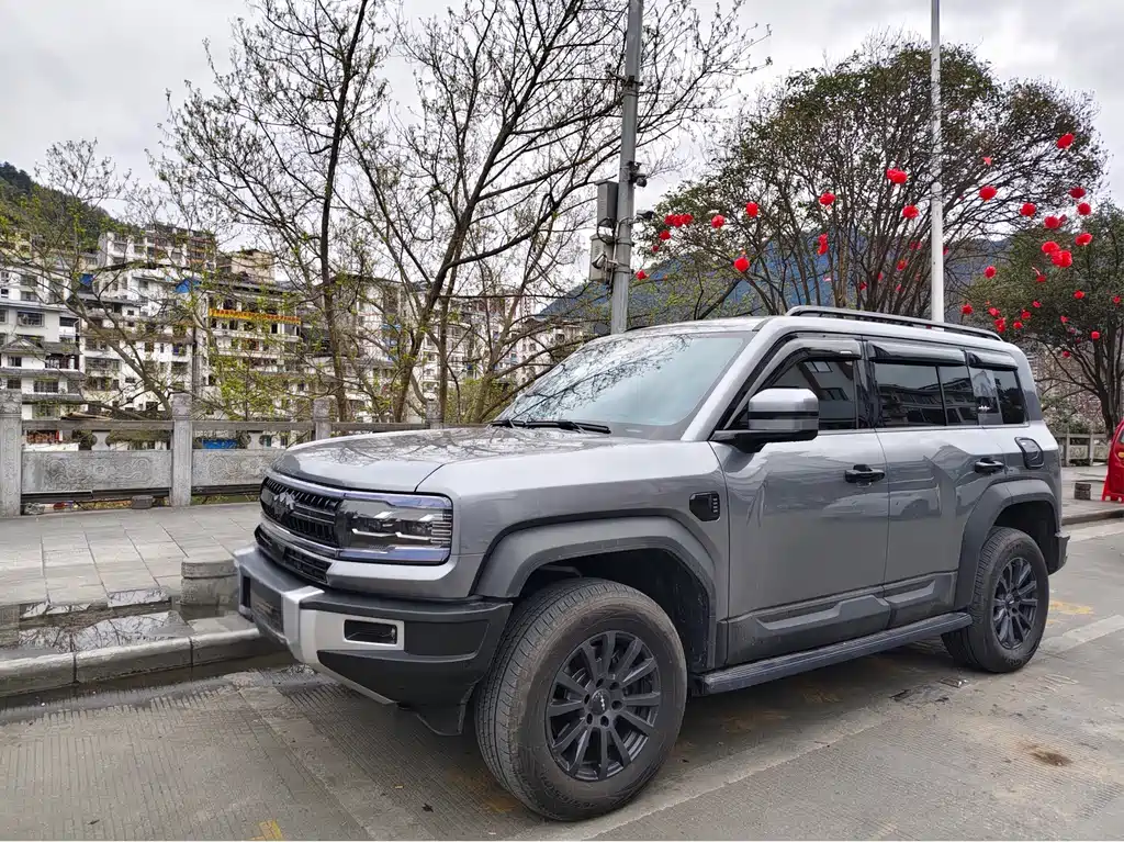 FANG CHENG BAO LEOPARD 5