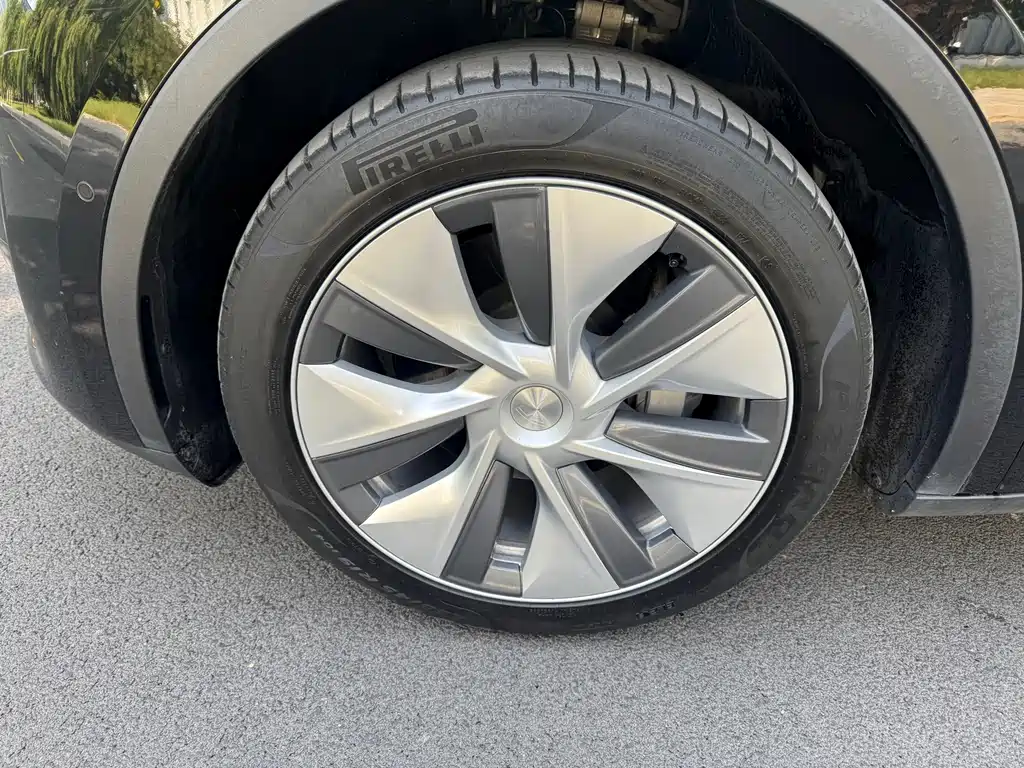 Tesla Model Y — миниатюра 10