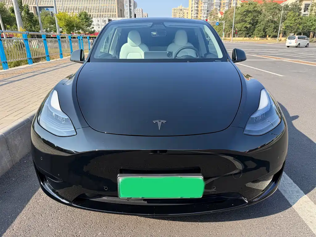Tesla Model Y — миниатюра 2