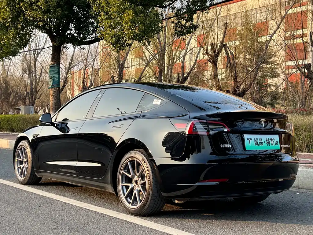 Tesla Model 3 — миниатюра 3