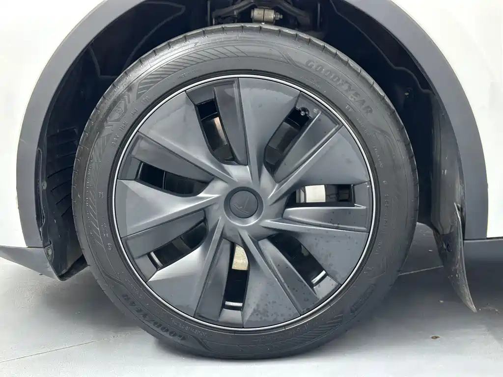 Tesla Model Y — миниатюра 22
