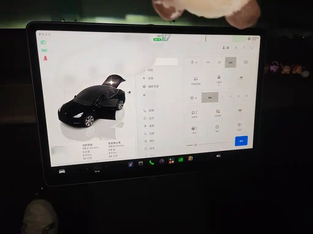 Tesla Model Y — миниатюра 6