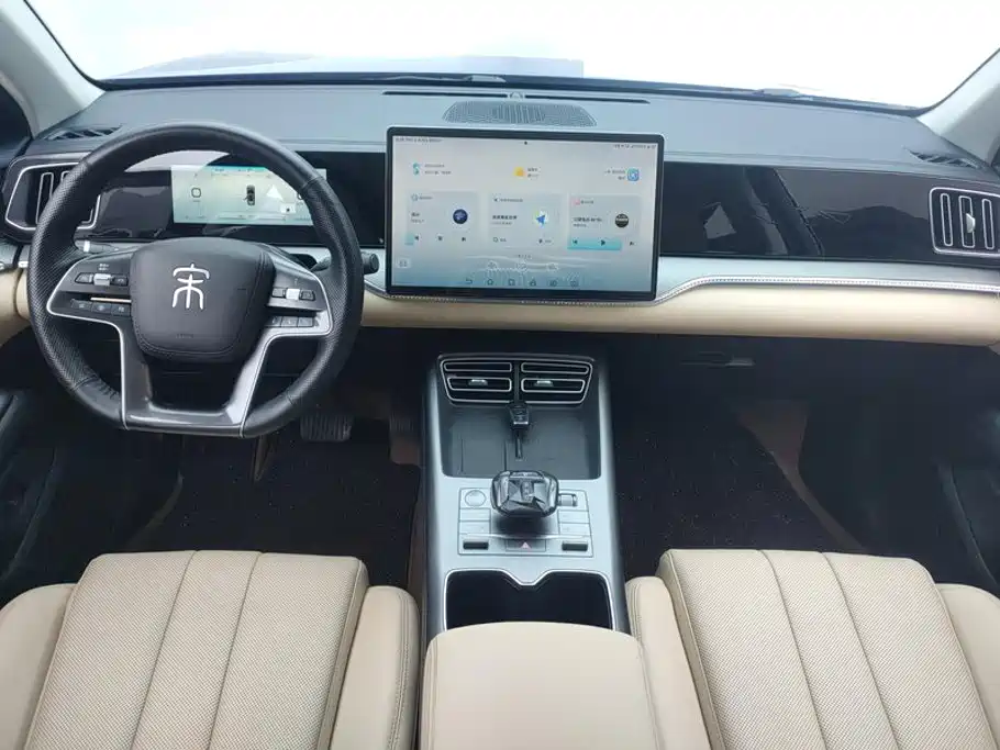 BYD Pro New Energy — миниатюра 12