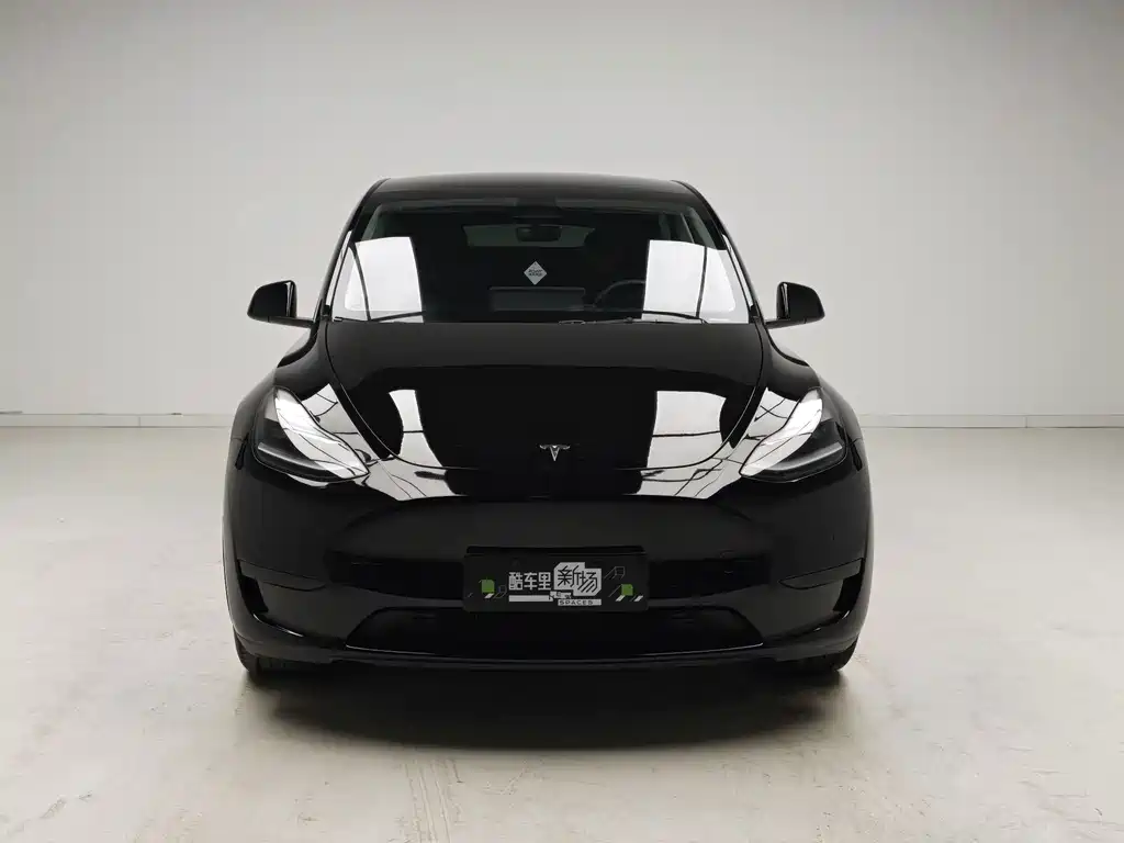 Tesla Model Y — миниатюра 2