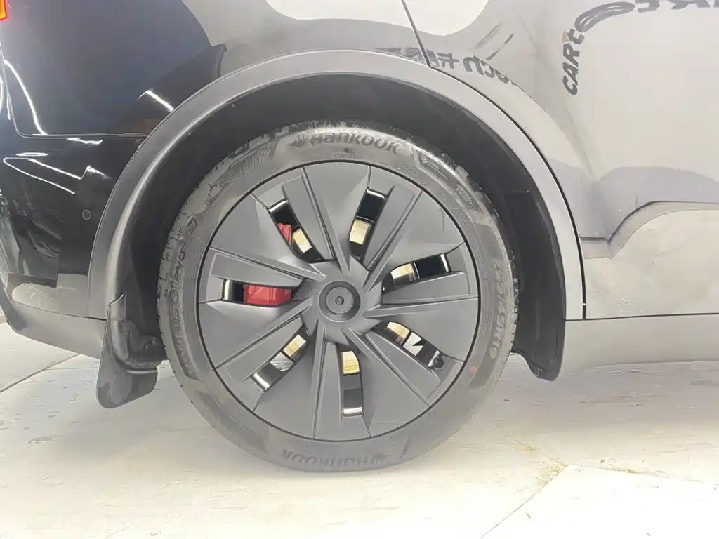 Tesla Model Y — миниатюра 11