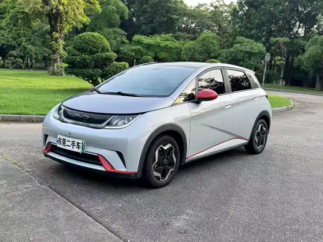 2022 BYD Dolphin