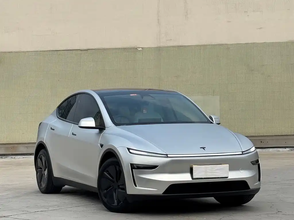 Tesla Model Y — миниатюра 3