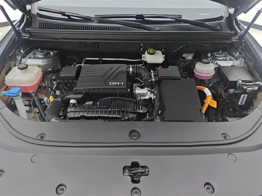 BYD SONGJIANG NEW ENERGY