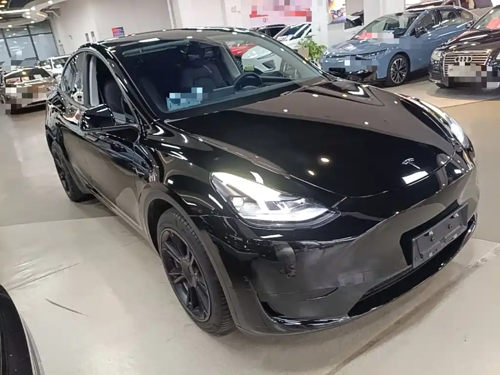 Tesla Model Y — миниатюра 4