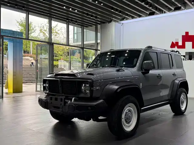 2022 TANK 300