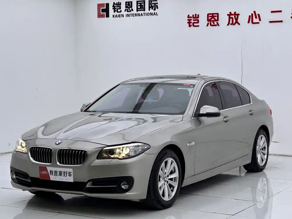 BMW 5 Series (Import) 2015