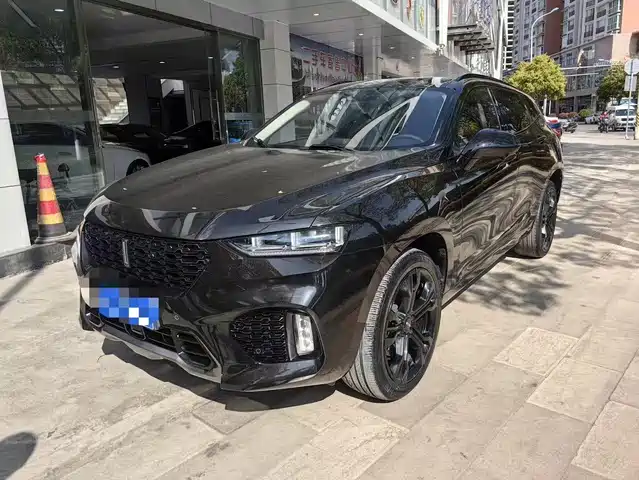 2019 Wey VV7