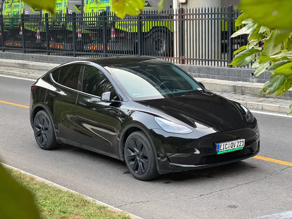 Tesla Model Y — миниатюра 8