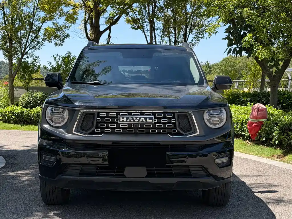 Haval Big Dog PLUS — миниатюра 2