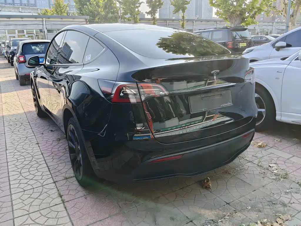 Tesla Model Y — миниатюра 12
