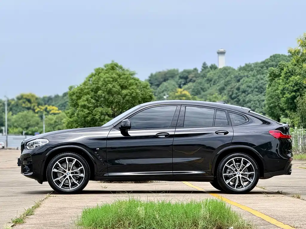 BMW X4 — миниатюра 4