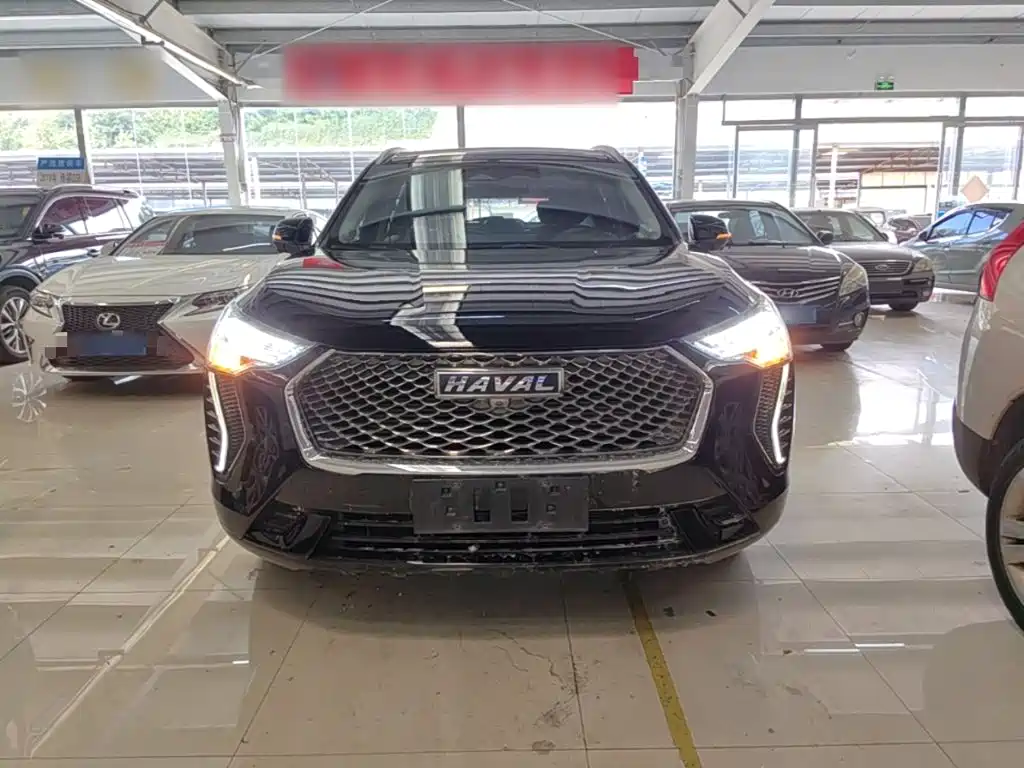 Haval Chulian — миниатюра 3