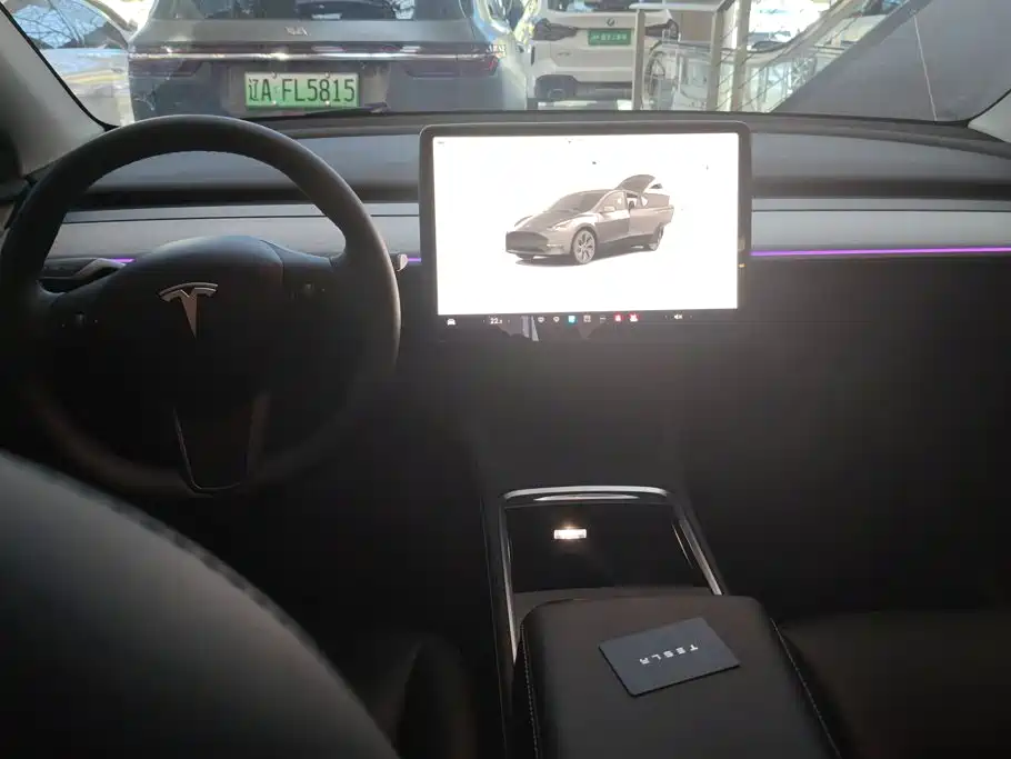 Tesla Model Y — миниатюра 12