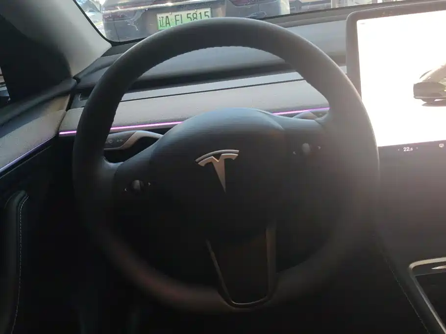 Tesla Model Y — миниатюра 15