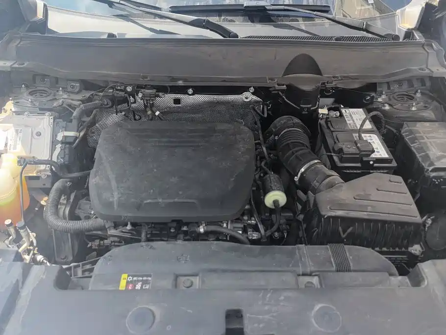 Haval Big Dog PLUS — миниатюра 9